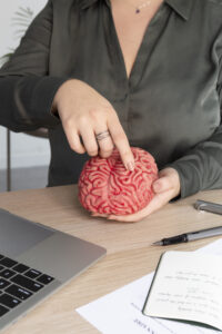 Person in a dark shirt points to a red brain model on a desk, with a laptop and notebook nearby.