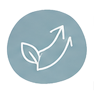 05 Icon+ - ReProcess Therapy - ReProcess Therapy Blue circular icon with a white leaf and two upward arrows, symbolizing growth and sustainability.